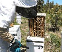 The House Of Honey - South Australia Travel 0
