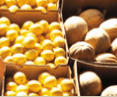 Brisbane Markets - South Australia Travel