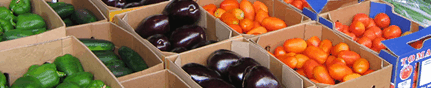 Brisbane Markets - South Australia Travel 3
