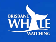 Brisbane Whale Watching - South Australia Travel 3
