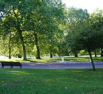 Roma Street Parkland - South Australia Travel