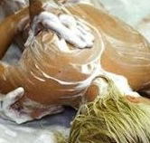 Exotique Massage - South Australia Travel