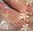 Orchid Day Spa - South Australia Travel