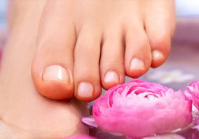 Indulge Spa Retreat - South Australia Travel 3