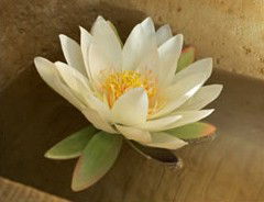 St Georges Natural Health Therapies - South Australia Travel 3
