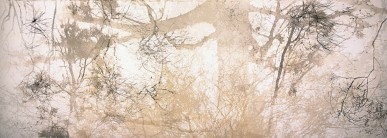 Dianne Tanzer Gallery & Projects - South Australia Travel 3