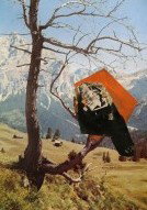 Gilligan Grant Gallery - South Australia Travel 3