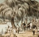 Joshua McClelland Print Room - South Australia Travel