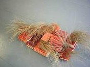 Brunswick Arts - South Australia Travel 2