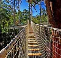 Thunderbird Park - South Australia Travel