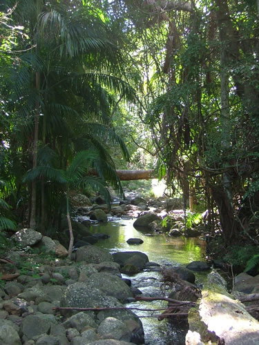 Thunderbird Park - South Australia Travel 2
