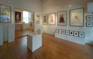 Bird's Gallery - South Australia Travel 0