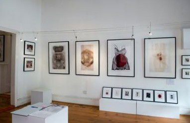 Bird's Gallery - South Australia Travel 1