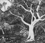 Tacit Contemporary Art - South Australia Travel