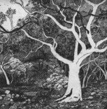 Tacit Contemporary Art - South Australia Travel 0