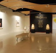 Counihan Gallery In Brunswick - South Australia Travel