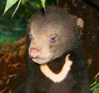 Perth Zoo - South Australia Travel 0