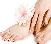 Lotus Health Spa - South Australia Travel 1