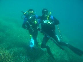 Pelican Charters - South Australia Travel 1