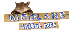 Birdland Animal Park - South Australia Travel