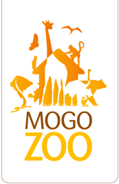 Mogo Zoo - South Australia Travel