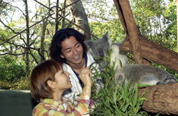 Taronga Zoo - South Australia Travel 2