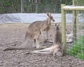 Barwon Heads VIC South Australia Travel