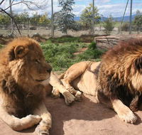 Mansfield Zoo - South Australia Travel