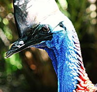 Alma Park Zoo - South Australia Travel