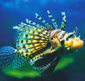 Underwater World - South Australia Travel