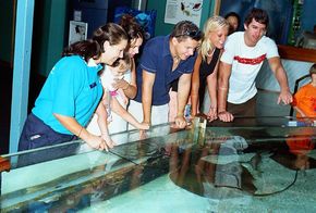 Underwater World - South Australia Travel 3