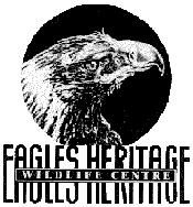 Eagles Heritage - South Australia Travel