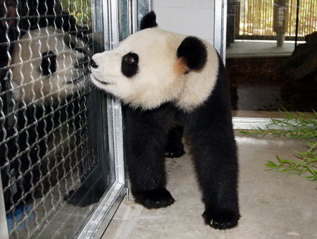 Adelaide Zoo - South Australia Travel 3