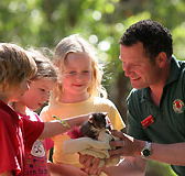 Cleland Wildlife Park - South Australia Travel