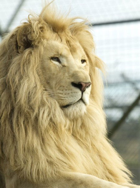 Zoo Doo Wildlife Park - South Australia Travel 3