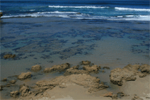 Braddon ACT South Australia Travel
