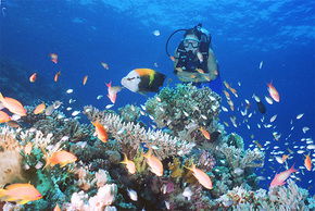  South Australia Travel