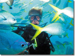 Maxi Ragamuffin - South Australia Travel 3