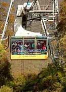 Scenic World Blue Mountains - South Australia Travel 1