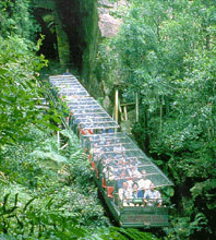 Scenic World Blue Mountains - South Australia Travel 3