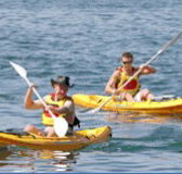 Manly Kayaks - South Australia Travel