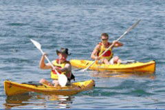 Manly Kayaks - South Australia Travel 0