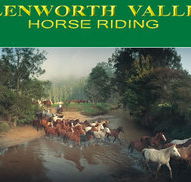 Glenworth Valley Horseriding - South Australia Travel