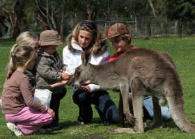 Gumbuya Park - South Australia Travel 1