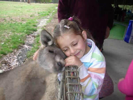 Gumbuya Park - South Australia Travel 3