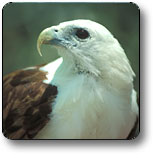 Kakadu National Park - South Australia Travel 0