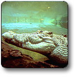 Kakadu National Park - South Australia Travel 1