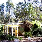 Koala Conservation Centre - South Australia Travel 1