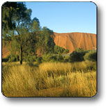 Yuendumu NT South Australia Travel