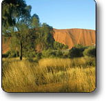 Uluru - Kata Tjuta National Park - South Australia Travel